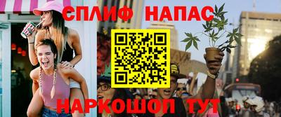 индика Анжеро-Судженск