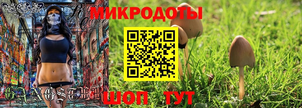 Галлюциногенные грибы GOLDEN TEACHER  хочу   Вход с VPN  Осинники  Галлюциногенные грибы Magic Shrooms 