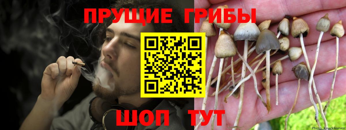Псилоцибиновые грибы MAGIC MUSHROOMS Осинники